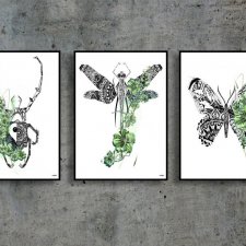 Plakaty zestaw - NATURA - robale zielone 50x70cm