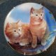 Danbury Mint Purrfect Portraits - "Sugar and Spice   "