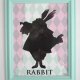 PLAKAT RABBIT