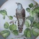 LIMOGES FRANCE 1984  - CUCKOO  - LIMITED FIRST EDITION CRAFTED FOR FRANKLIN PORCELAIN  BY HAVILAND  LIMOGES FRANCE