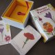 Flower  Families -A HAPPY FAMILIES GAME - ILLUSTRATIONS BY CHRISTINE  BERRIE 2017 DESIGN BY INCA STARZINSKY