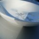 Wedgwood Ice Rose