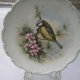 Royal Albert 1982      The Woodland Birds Collection