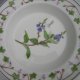 Portmeirion Welsh Wild Flowers  made in Britain rzadko spotykana seria