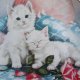 Franklin Mint - purrfectly precious by brian walsh -limited edition - kolekcjonerski talerz porcelanowy rzadko spotykana rzecz