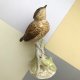 ROYAL WORCESTER 1977 ❀ڿڰۣ❀ Fledgling Robin - Jakościowa porcelana