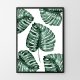 Monstera plakaty obrazy botaniczne 30x40