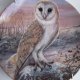 ROYAL WORCESTER  The barn Owl's Year by DICK TWINNEY - "Winter  kolekcjonerski talerz porcelanowy