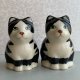 POTTERY CATS ❤ Koci duet - Figurkowy komplet do przypraw - Nowe