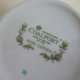 coalport  ROSE GARDEN FINE Bone China rzadko spotykany wzór ptasi - ciekawa forma -oryginalny porcelanowy wazon