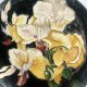 Benaya art on decorative plate irises Hand crafted art on ceramic 30 cm