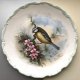 Sikorka 21,5cm.❀ڿڰۣ❀ ROYAL ALBERT 1982 ❀ڿڰۣ❀ The Woodland Birds Collection ❀ڿڰۣ❀ Wyjątkowo uroczy, w stylu retro