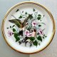 Edwardian Heritage Goldfinch With Convolvulus ❀ڿڰۣ❀ Uroczy, ptasi z kostnej porcelany ❀ڿڰۣ❀