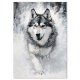 Plakat - Malamut w śniegu 40x50 cm