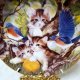 PORCELANOWY KOLEKCJONERSKI TALERZ FRANKLIN MINT SPROVACH SPINNING A YARN KITTENS