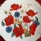 Royal albert  Wild Flowers zjawiskowy porcelanowy talerz kolekcjonerski  limitowana edycja bradex