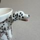 Porcelain Pottery ❤ Dalmatian ❤ Ręcznie malowany kubek w niespotykanej odsłonie