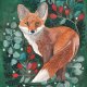 Wild Fox Plakat 30x40