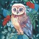 Owl Plakat 30x40