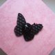 PIN BROSZKA MOTYL