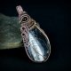 Orthoceras wisior wire wrapping