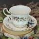 Angielska porcelana Royal Albert seria Woodland wzór Blue Jay