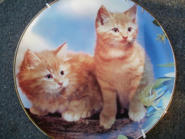 Danbury Mint Purrfect Portraits - "Sugar and Spice   "