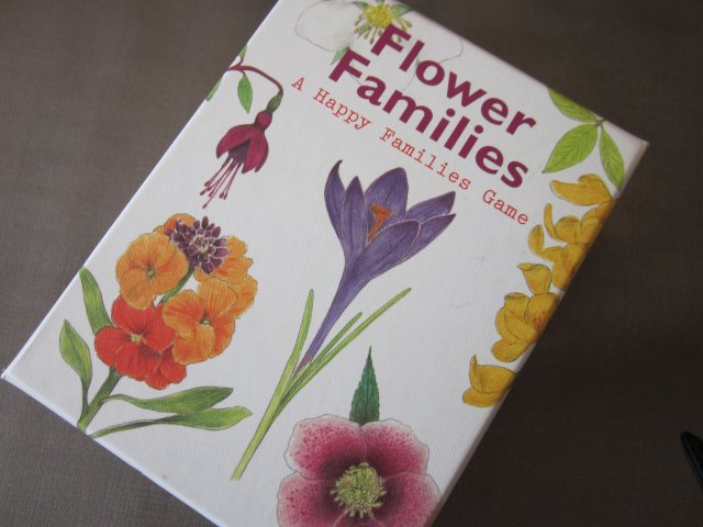 Flower  Families -A HAPPY FAMILIES GAME - ILLUSTRATIONS BY CHRISTINE  BERRIE 2017 DESIGN BY INCA STARZINSKY