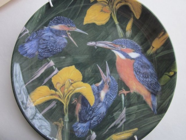 WEDGWOOD - FLEDGLINGS BY DICK TWINNEY  - KINGFISHERS