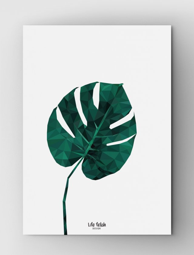 Monstera B2