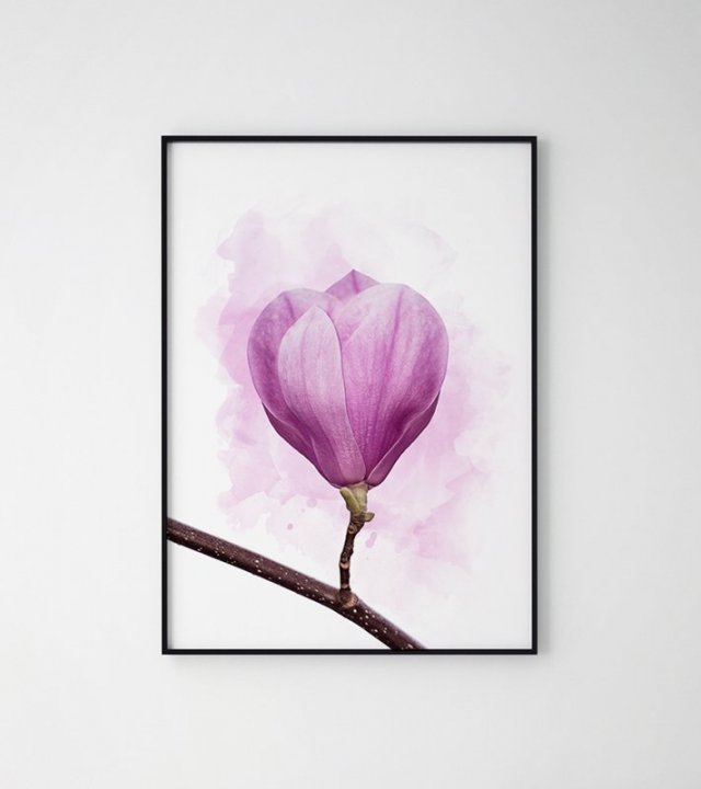 Plakat magnolia kwiat 40x50 cm