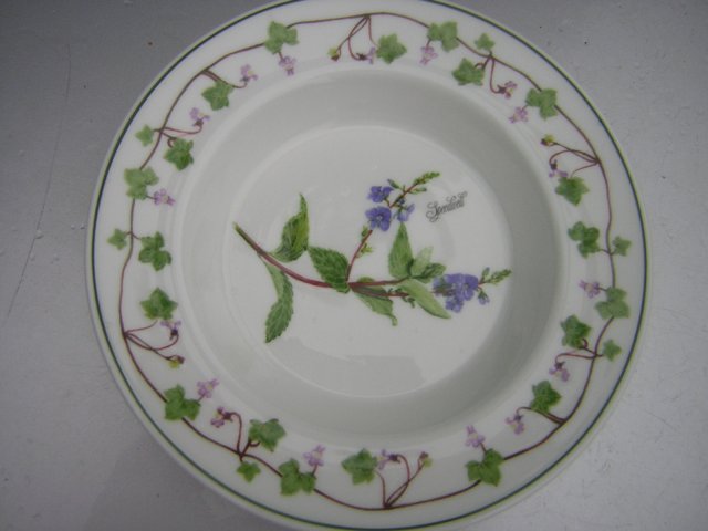 Portmeirion Welsh Wild Flowers  made in Britain rzadko spotykana seria