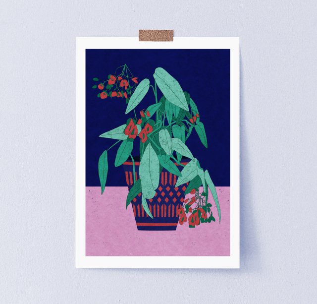 Begonia, plakat botaniczny, ilustracja A3 lub 30x40 cm