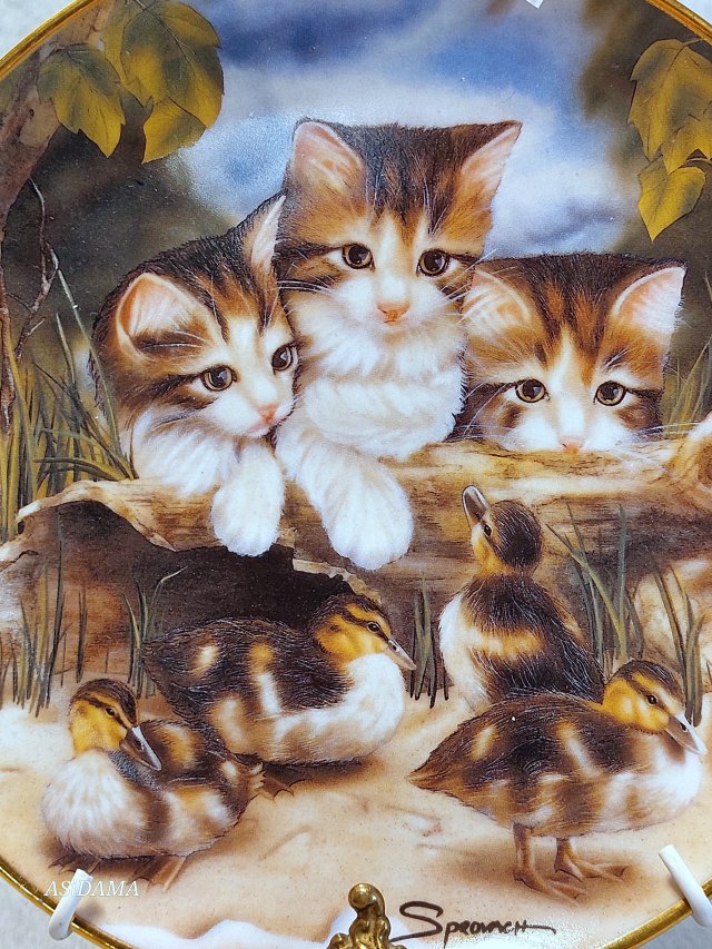 PORCELANOWY KOLEKCJONERSKI TALERZ FRANKLIN MINT "FINE FEATHERED FRIENDS" SPROVACH CAT KITTEN