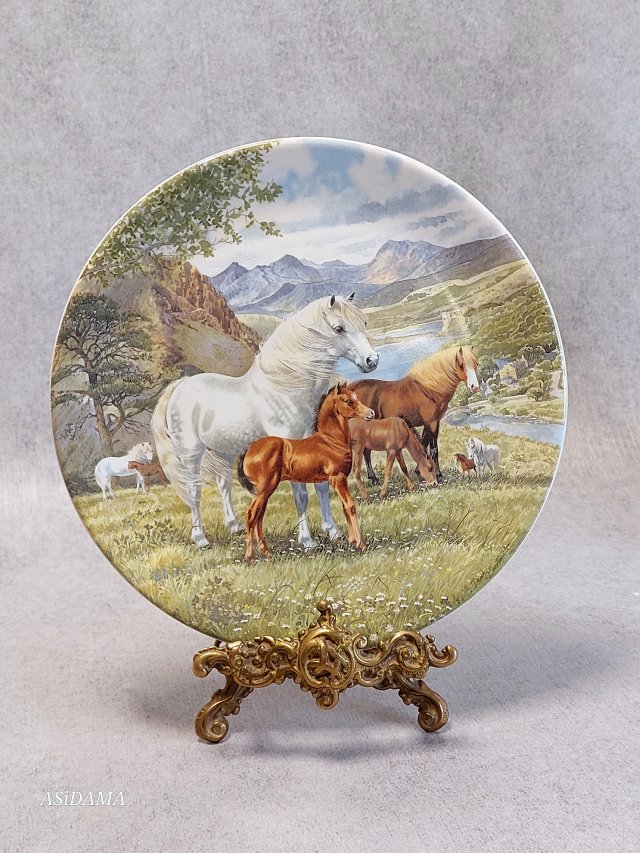 PORCELANOWY KOLEKCJONERSKI TALERZ Konie Davenport Pottery Welsh Mountain Ponies