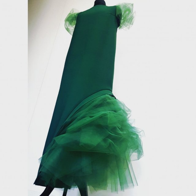 pigeon assymetry dressi green