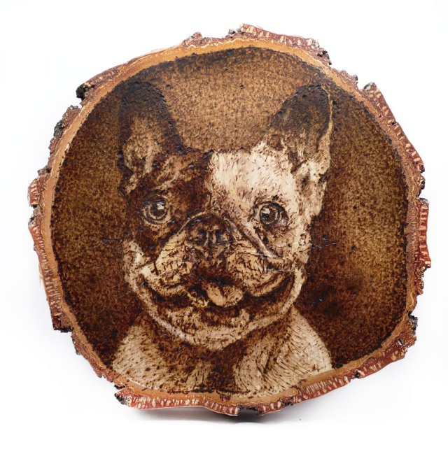 Pies Buldog francuski - pirografia (18 x 19 cm) obraz wypalany na drewnie, woodburning, pyrography art