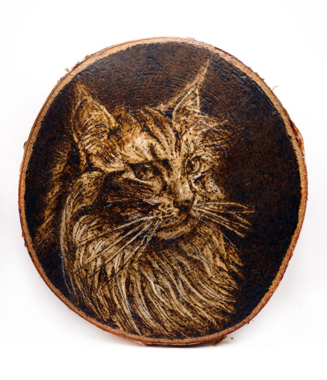 Kot Maine Coon - pirografia (18 x 19 cm) obraz wypalany ręcznie na drewnie, woodburning, pyrography art