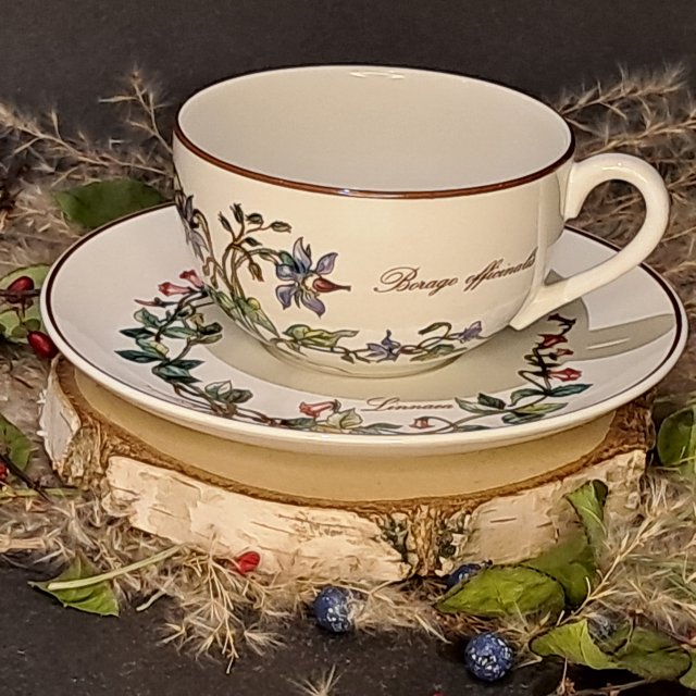 Niemiecka porcelana Villeroy & Boch wzór Botanica duża filiżanka do herbaty i spodek