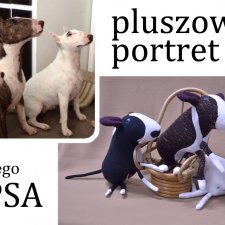 maskotka na zamówienie. Pluszowy portret psa lub kota. Owczarek niemiecki, mops, buldog francuski ect.