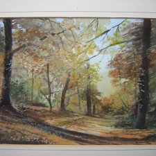 Oryginał water COLOURS  sygnowany 1994 Bainbridge Oprawiony z passpartou za szybką