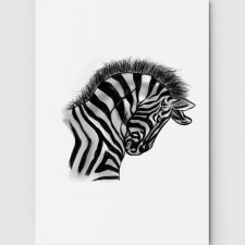 Zebra rysowana A3