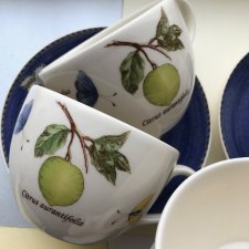 ❤ WEDGWOOD - SARAH'S GARDEN ❤ Queens Ware ❤