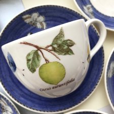 ❤ WEDGWOOD - SARAH'S GARDEN ❤ Queens Ware #8