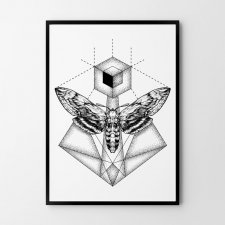 Plakat geometryczny ćma motyl  50x70 cm B2