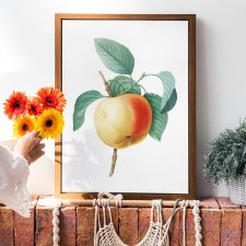 Plakaty do kuchni rośliny vintage jabłko A4
