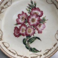 Heritage Rose by PHILIPPA NIKULINSKY HERRITAGE ROSE AUSTRALIAN COLLECTION -porcelanowy,  użytkowy,  dekoracyjny. ..