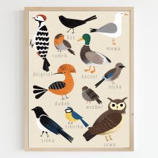 Plakat A3 Ptaki