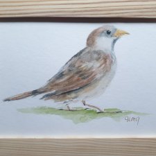 Akwarela ręcznie malowana Wróbel ptak +rama