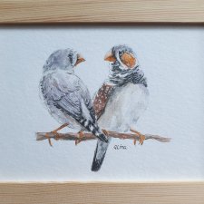 Akwarela ręcznie malowana  ptaki +rama